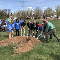 Arbor Day Plantings 