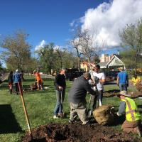 Arbor Day and Median Plantings 2019