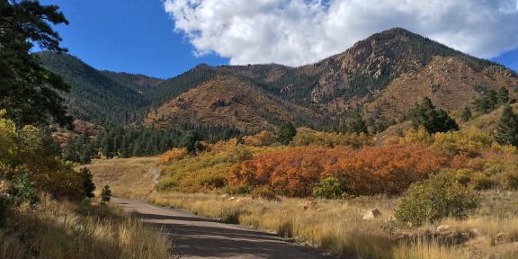 trail leading to blodgett peak. fall foliage lines the trail