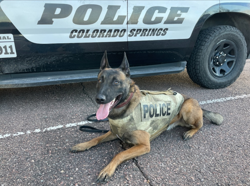 CSPD K9 Riggs