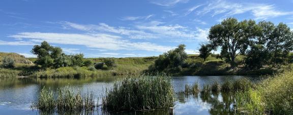 Wild horse ranch banner