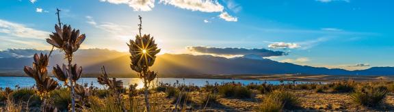 photo of nature