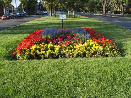 Flowers in Bloom Cascade Jackson