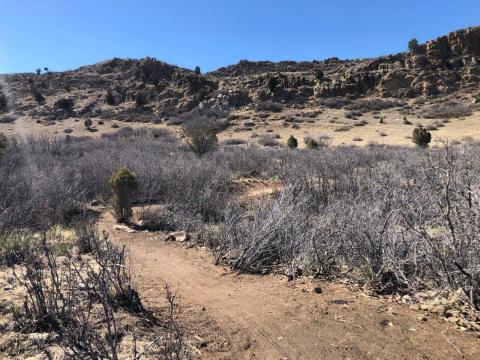 Red Rock Canyon Open Space trail