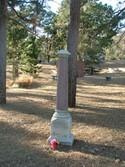 Grave of Julia Loomis at Evergreen Cemetery