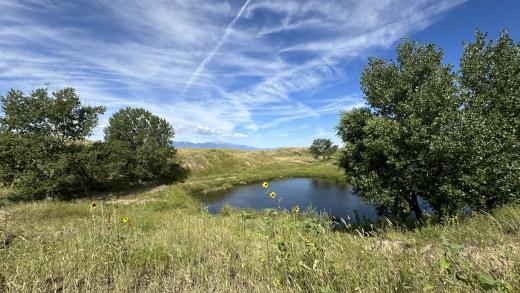 Wild Horse Ranch