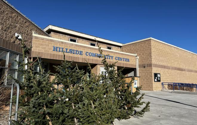 undecorated christmas trees in front of hillside community center