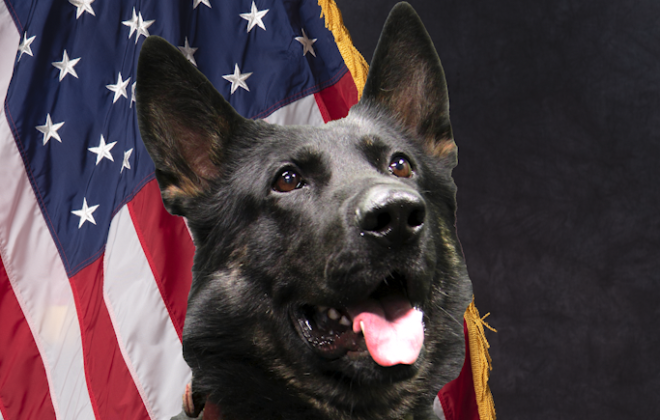 CSPD K9 Creed