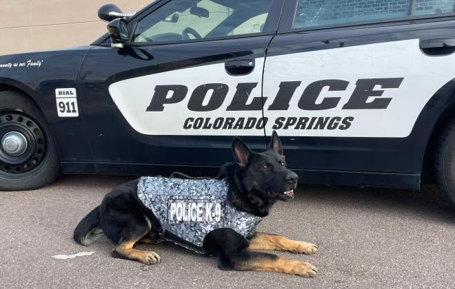 CSPD K9 Creed