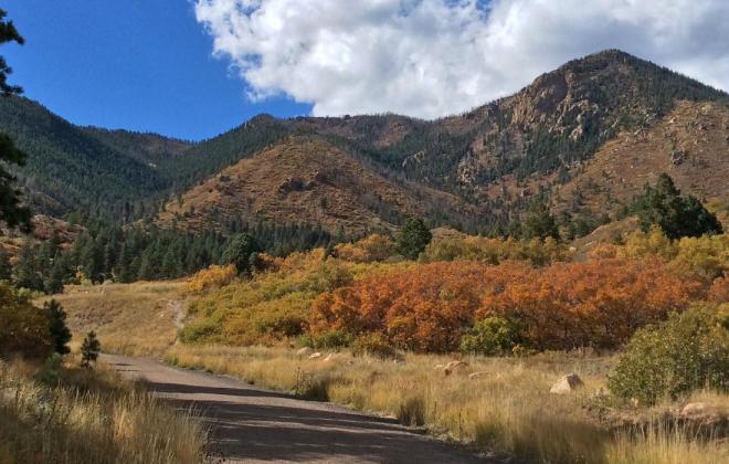 Blodgett Peak during the fall