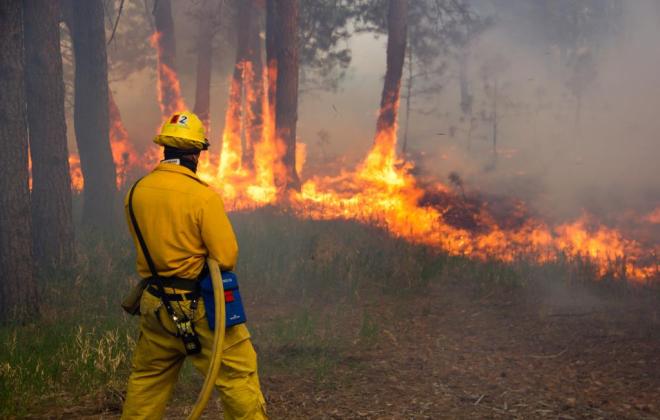 Black Forest Fire