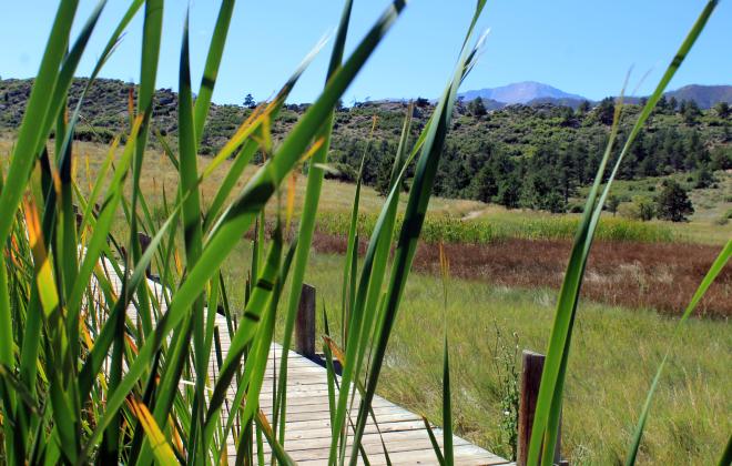 Ute Valley Park
