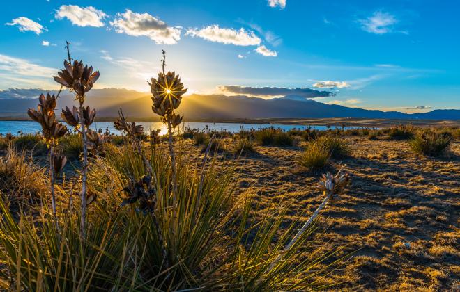 photo of nature and sunset