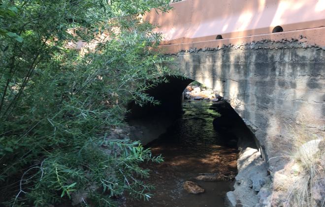 bridge, creek, and foliage 