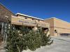 undecorated christmas trees in front of hillside community center